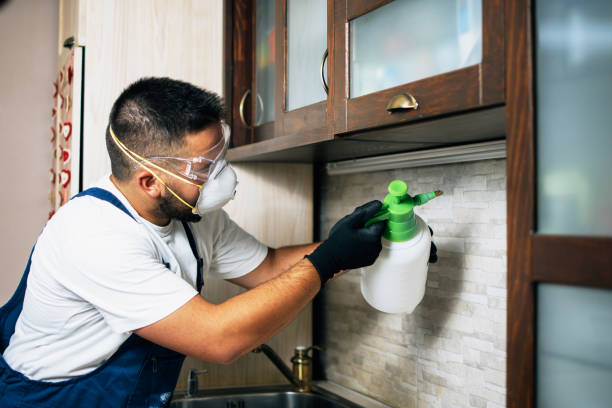 Best Commercial Pest Control Services  in Hansen, ID