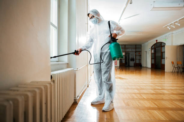 Best Residential Pest Control  in Hansen, ID